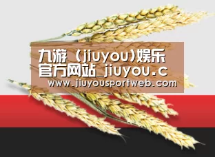 九游 (jiuyou)娱乐官方网站_jiuyou.com - 九游官网