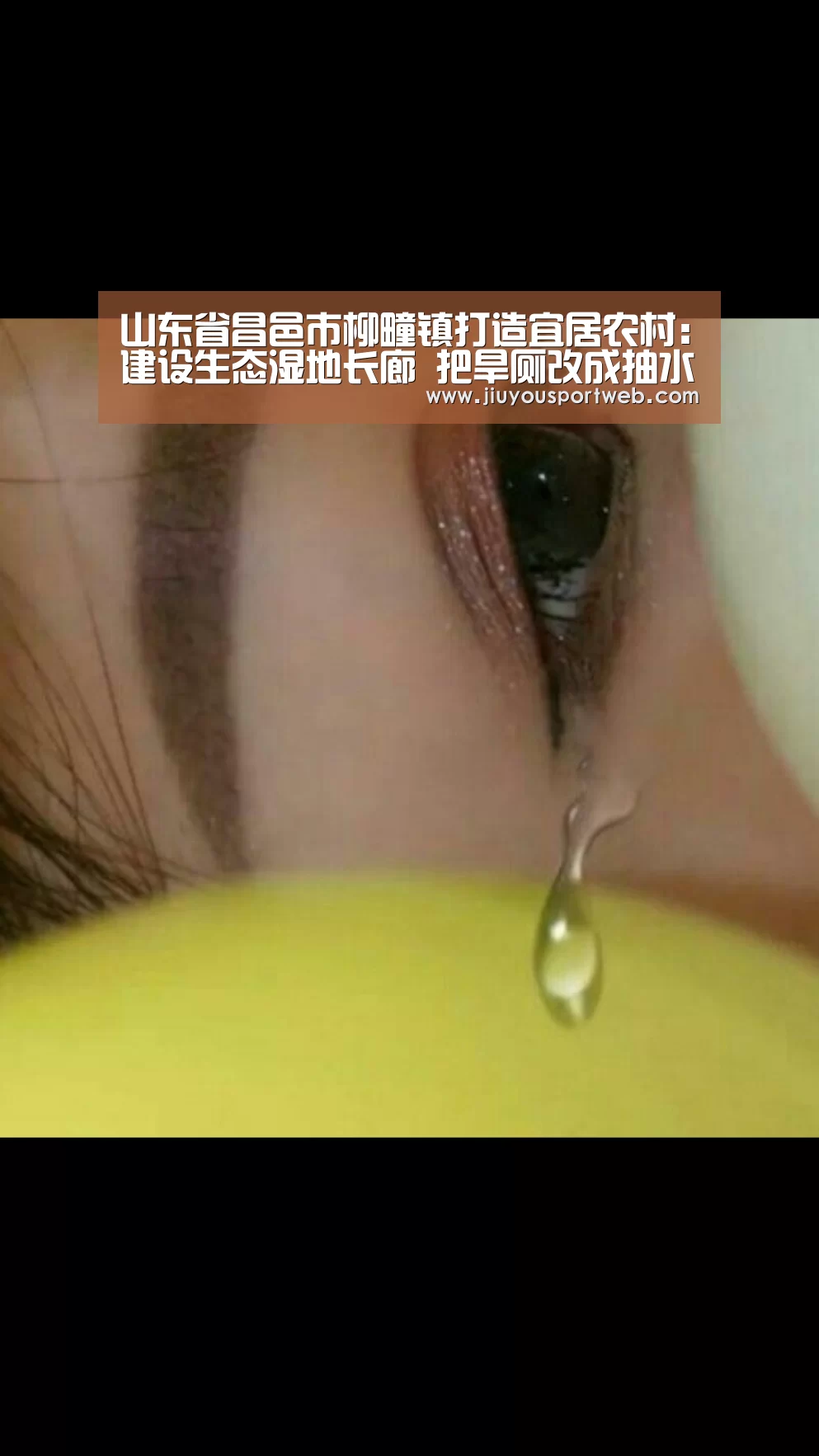 山东省昌邑市柳疃镇打造宜居农村:建设生态湿地长廊 把旱厕改成抽水马桶“九游官网”(图3) 九游官网